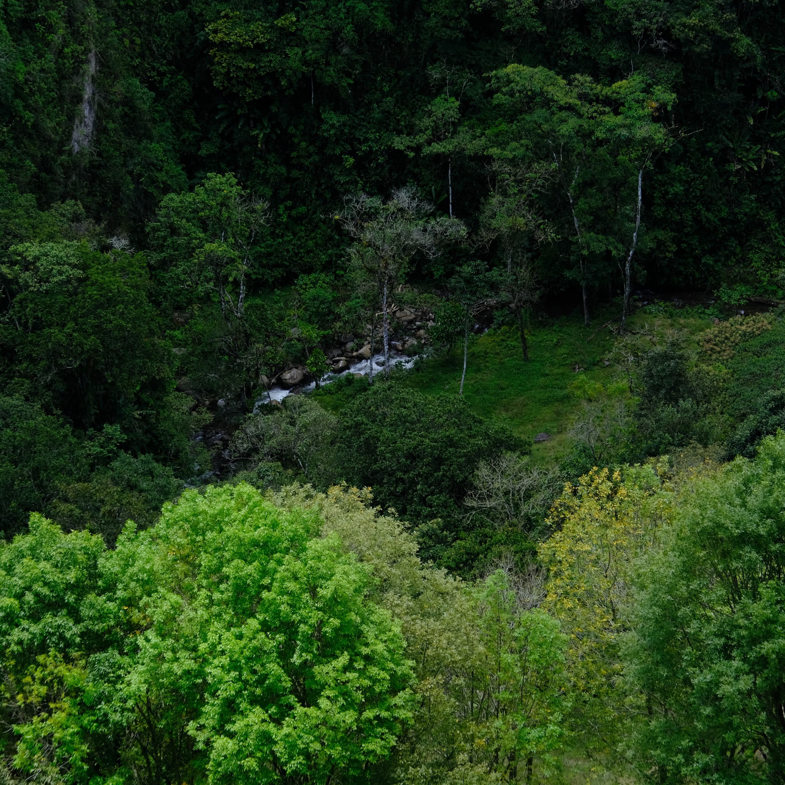 Biological reactors for wastewater treatment with microscopic view