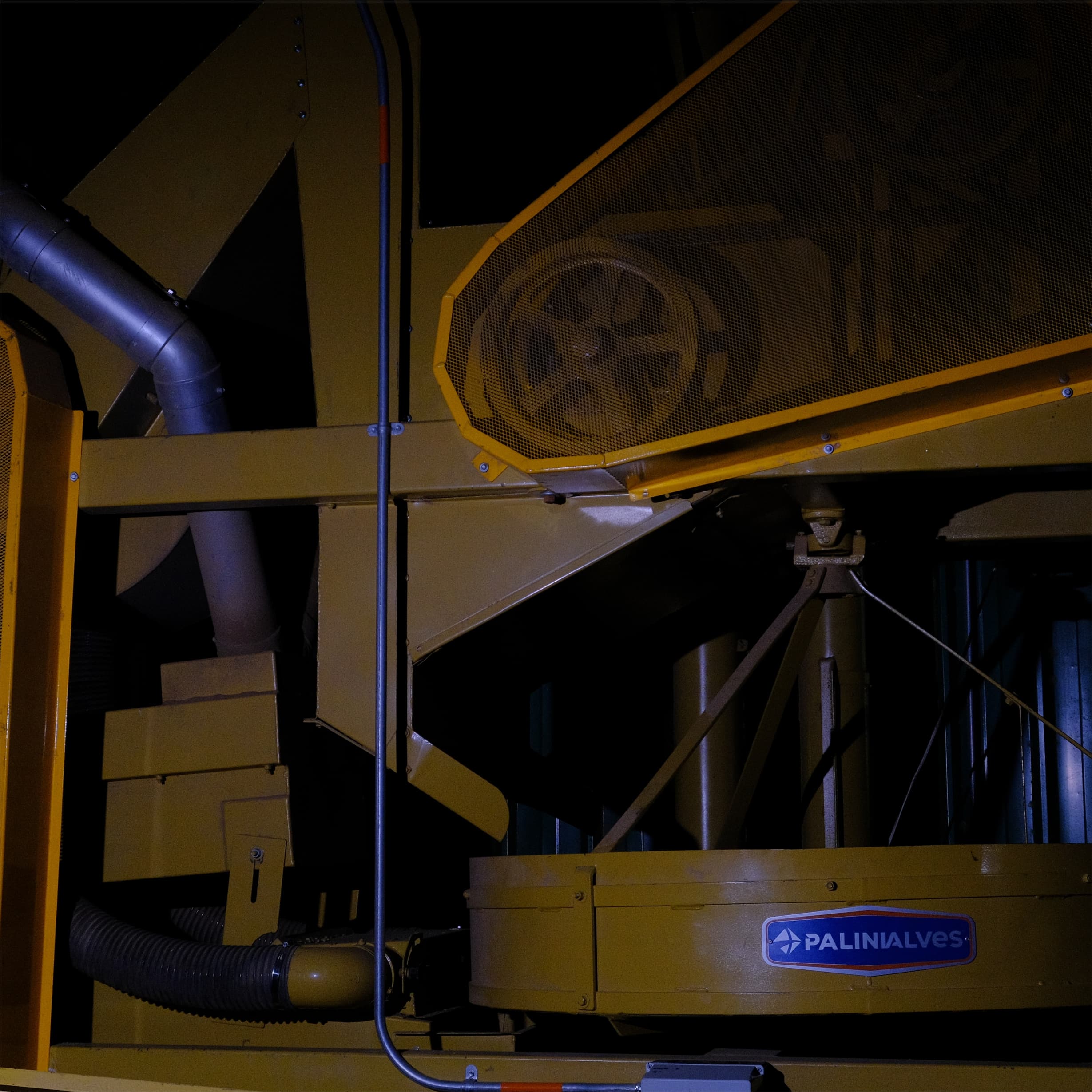 Coffee beans being processed in a hulling machine to remove parchment