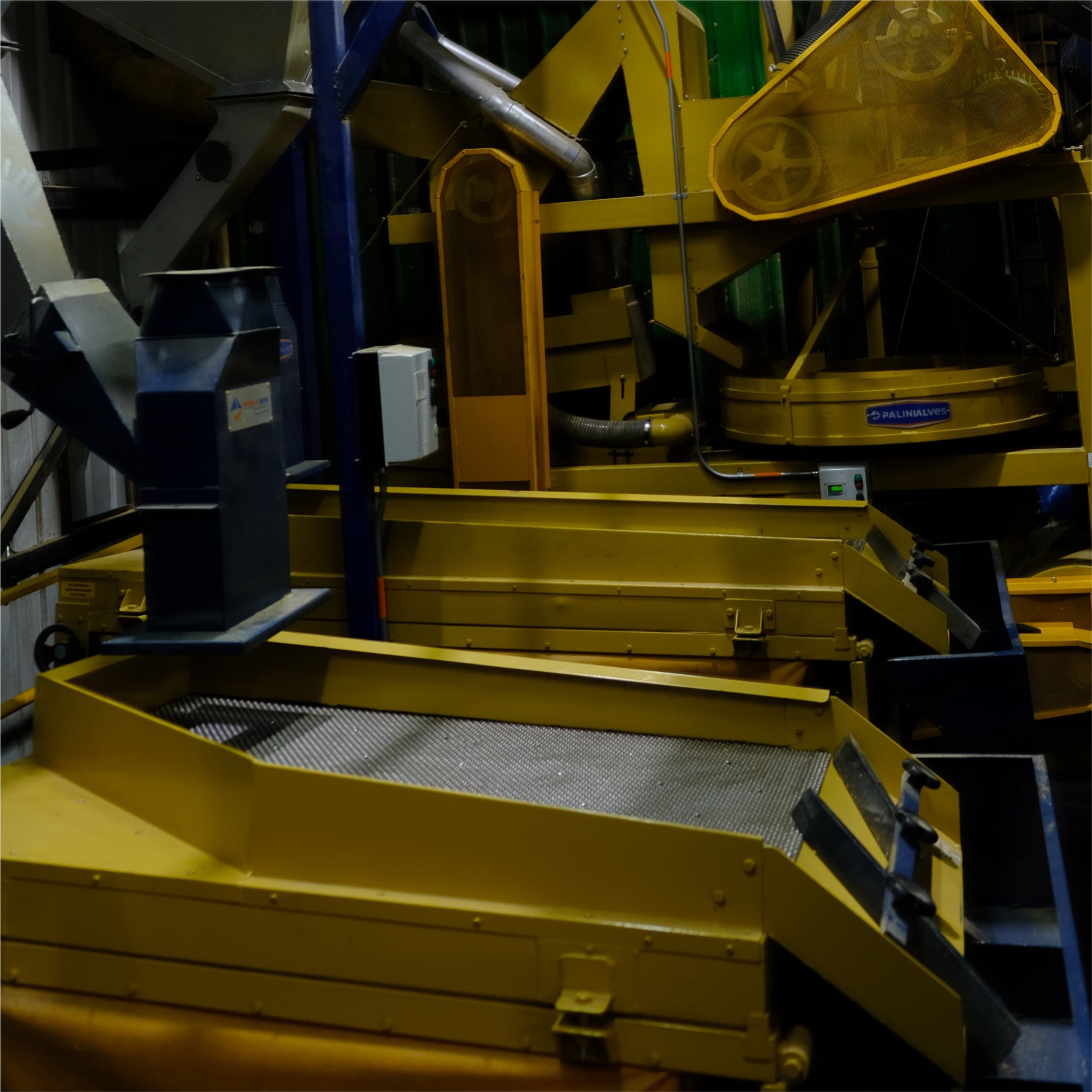 Coffee beans being sorted by size and density on a grading machine