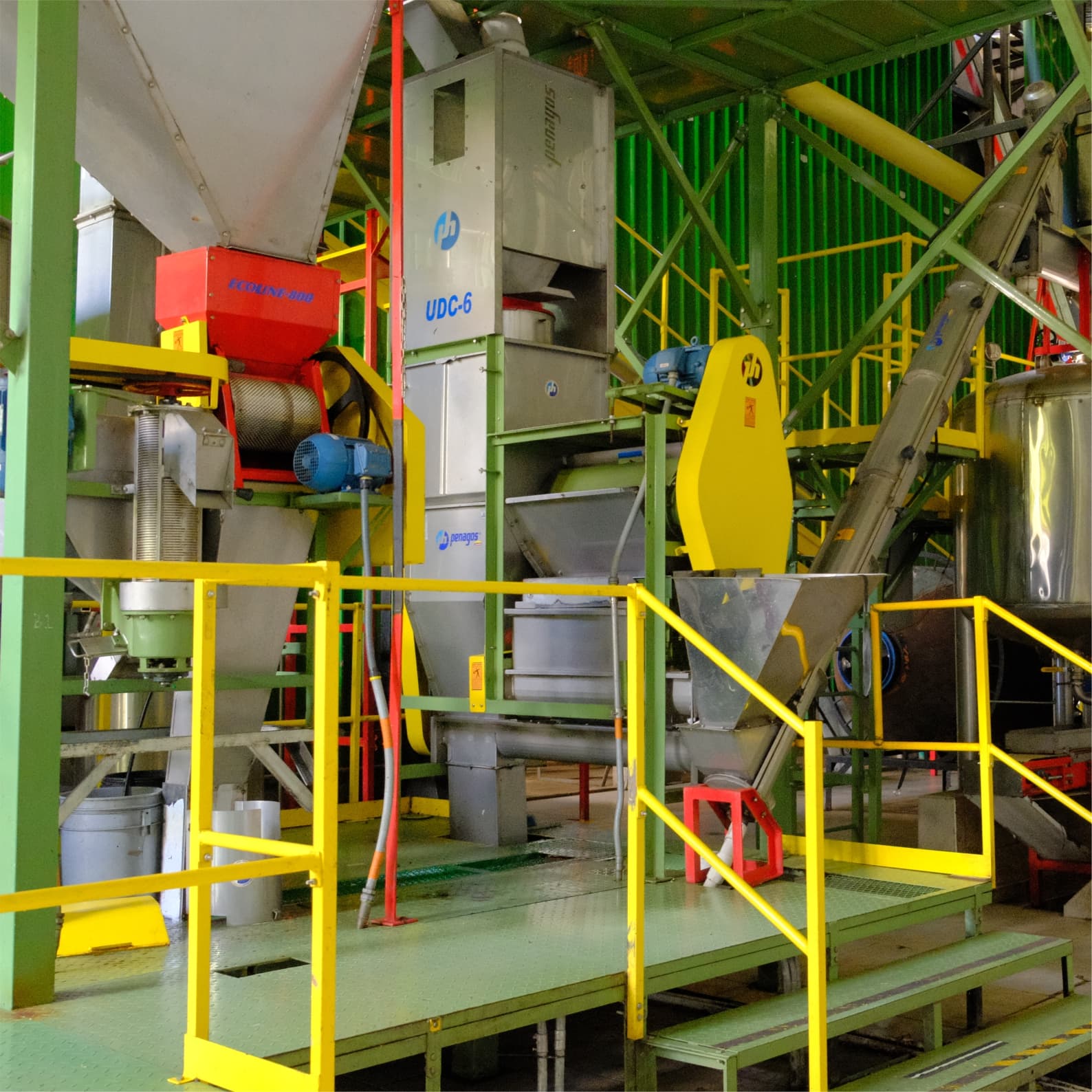 Coffee cherries being fed into a pulping machine