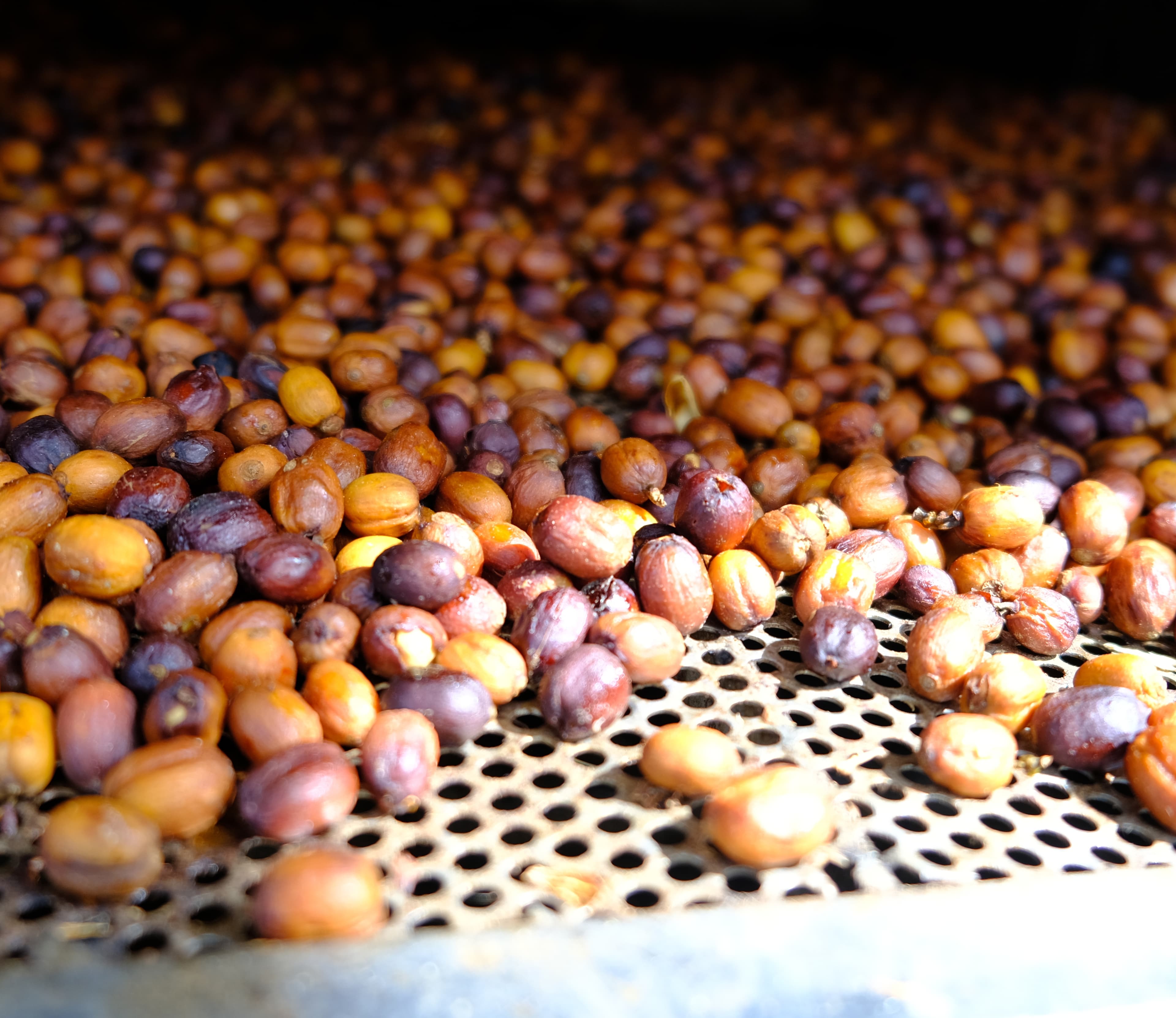 Zeolites used in coffee sublimation drying process