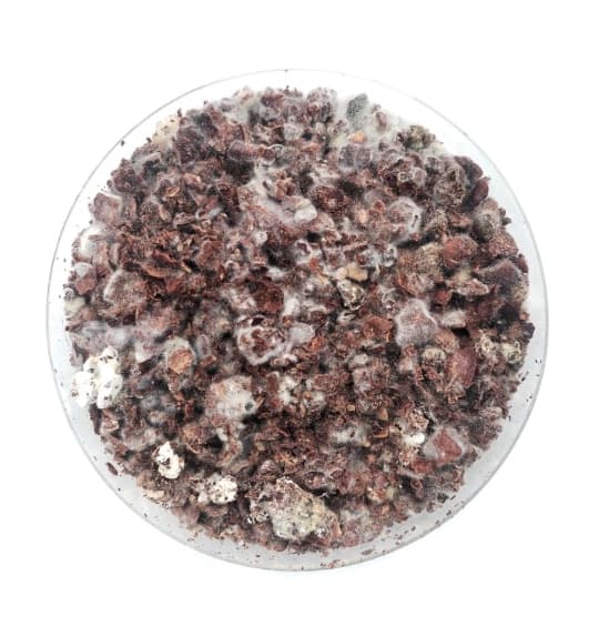 Laboratory illustration of coffee characteristic modulation