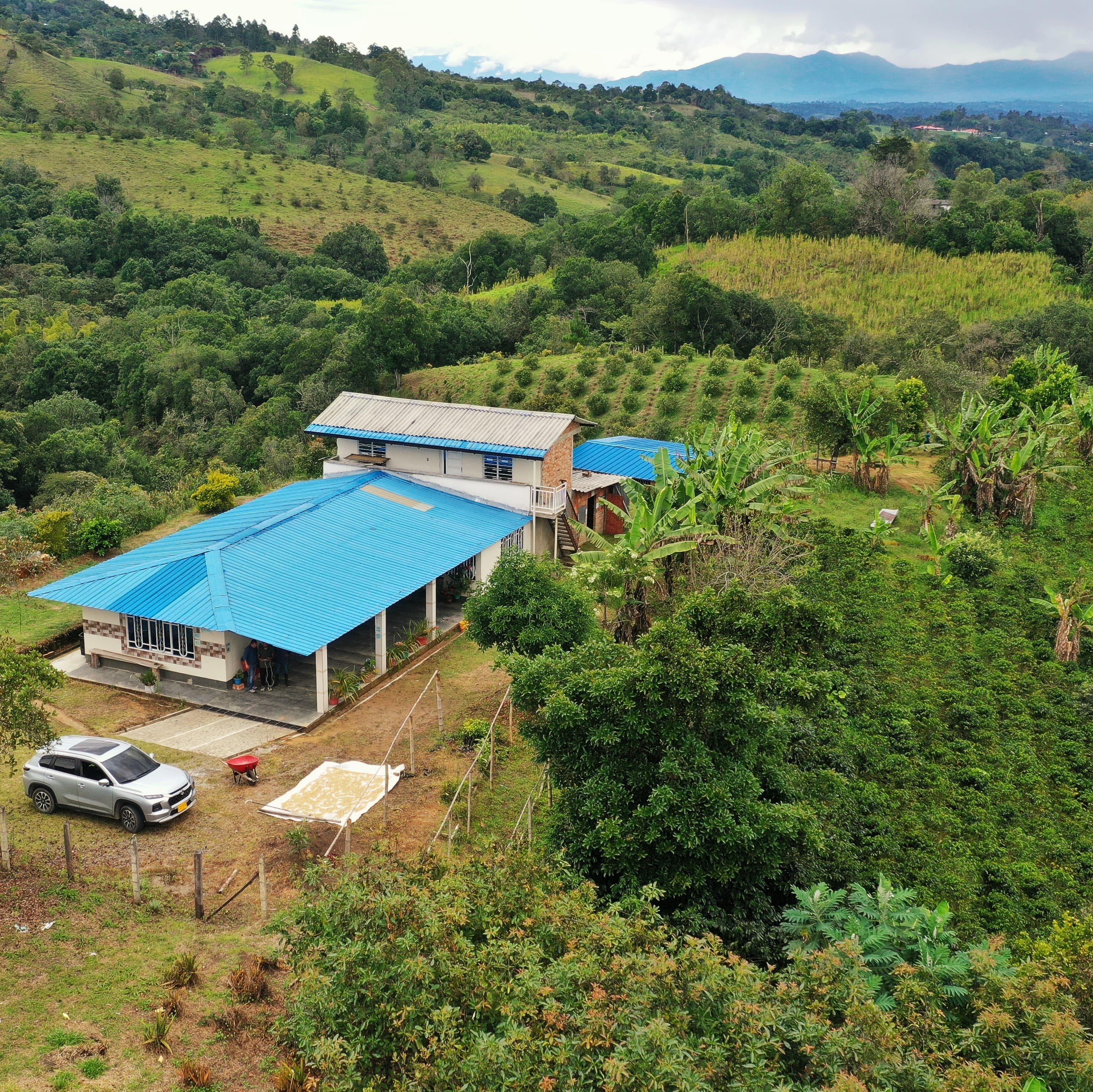 Panoramic view of coffee fields at Finca Paraíso Villa Elena