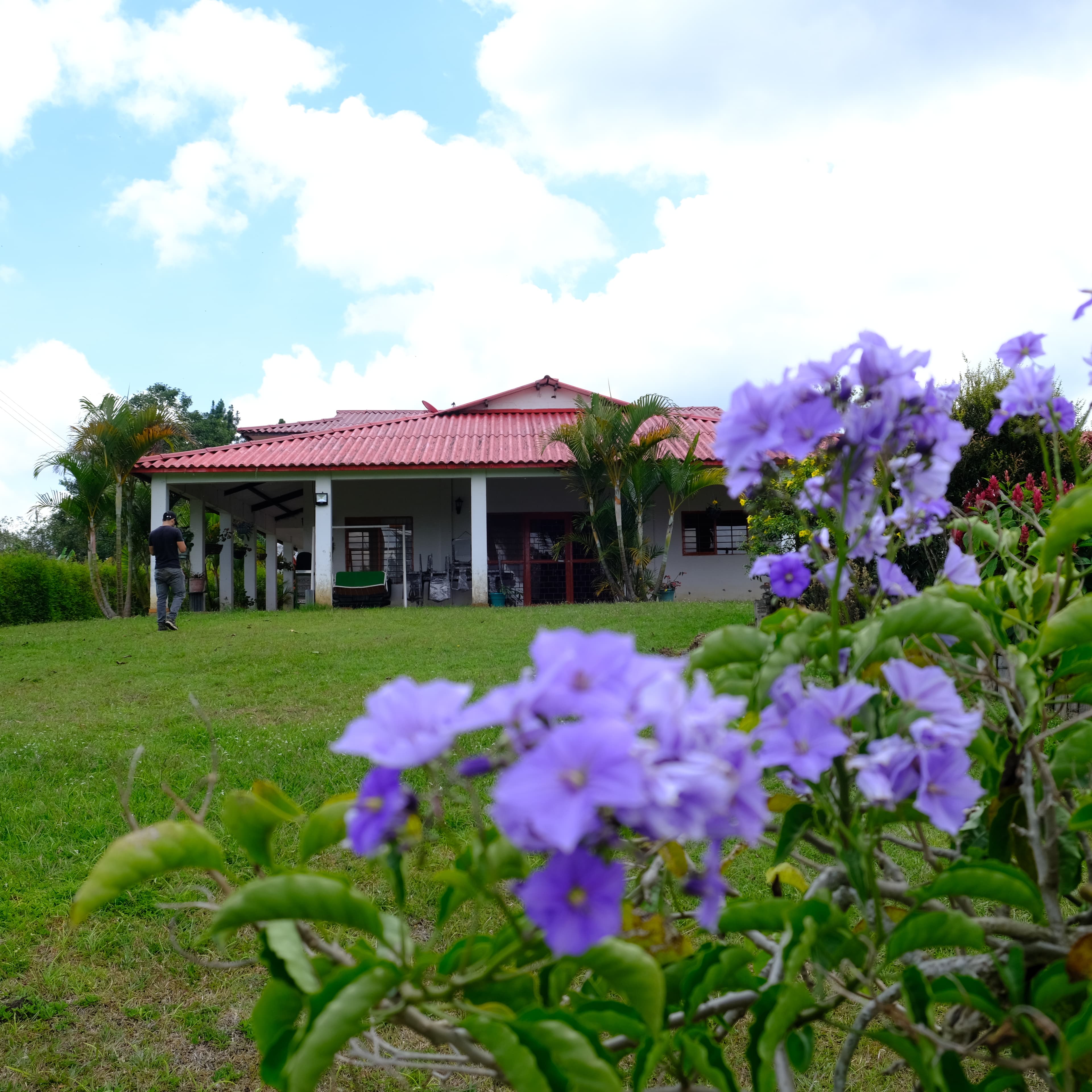 Panoramic view of Finca Villa Jerónimo coffee fields with surrounding mountains